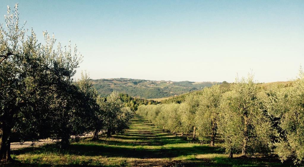Monte Castello di Vibio Podere Le Coroneヴィラ エクステリア 写真