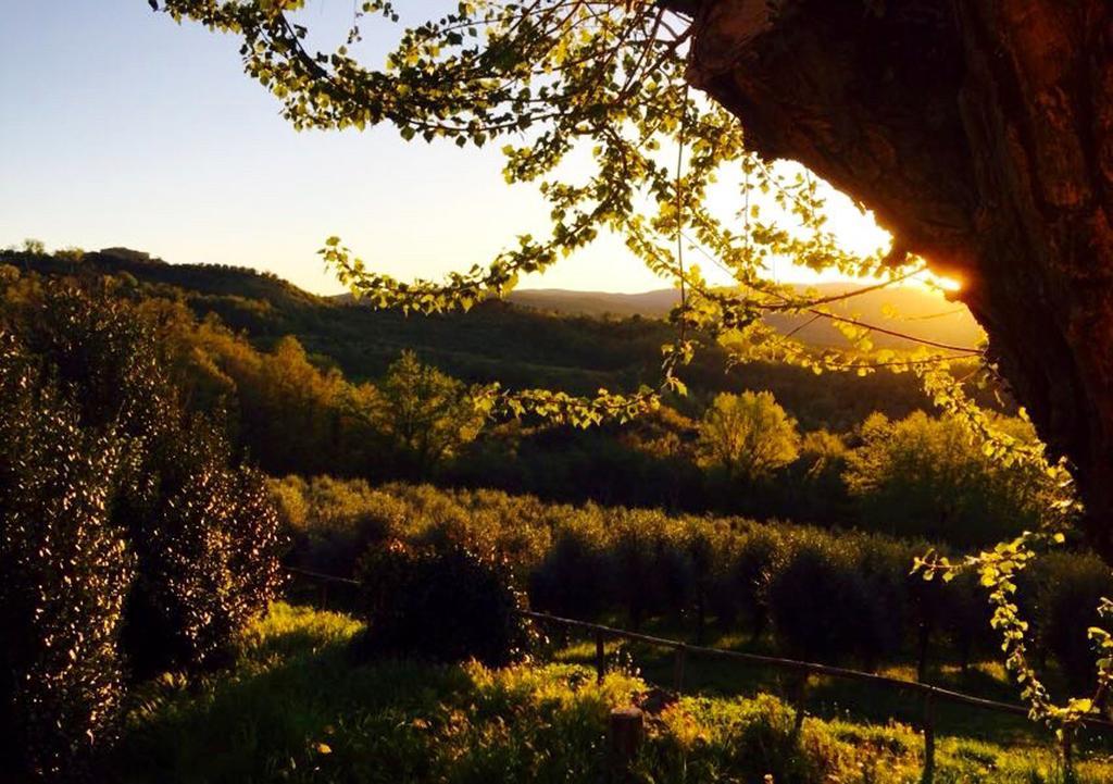 Monte Castello di Vibio Podere Le Coroneヴィラ エクステリア 写真