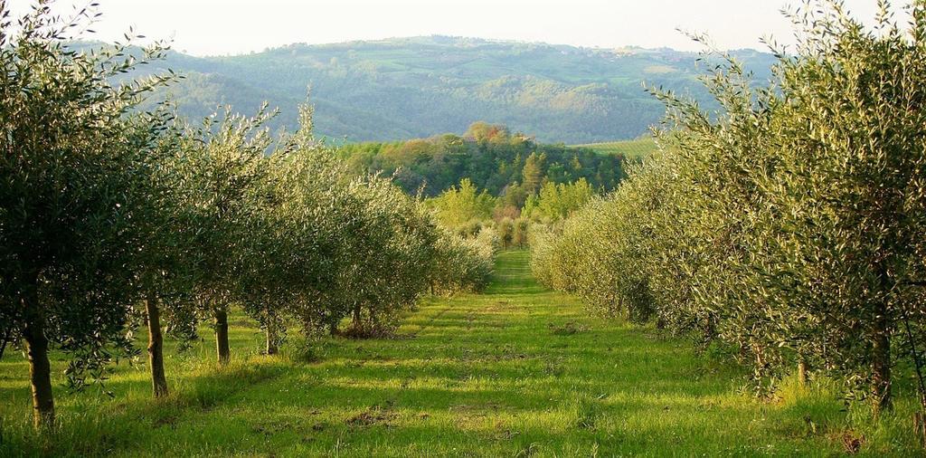Monte Castello di Vibio Podere Le Coroneヴィラ エクステリア 写真