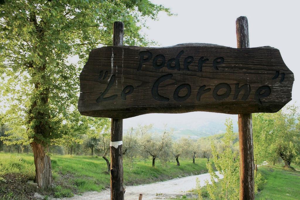 Monte Castello di Vibio Podere Le Coroneヴィラ エクステリア 写真