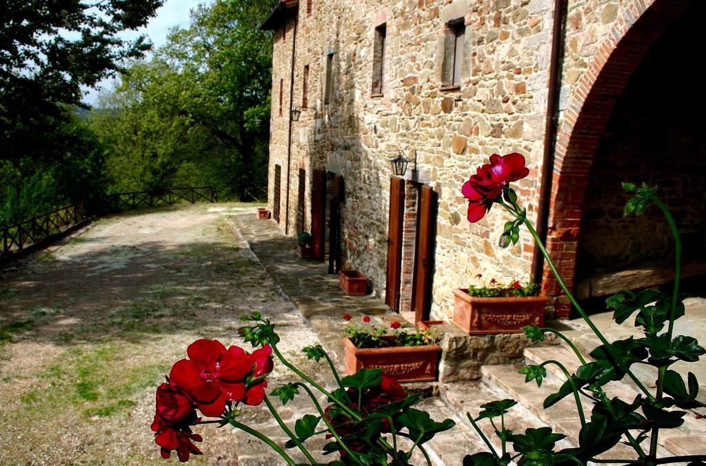 Monte Castello di Vibio Podere Le Coroneヴィラ エクステリア 写真